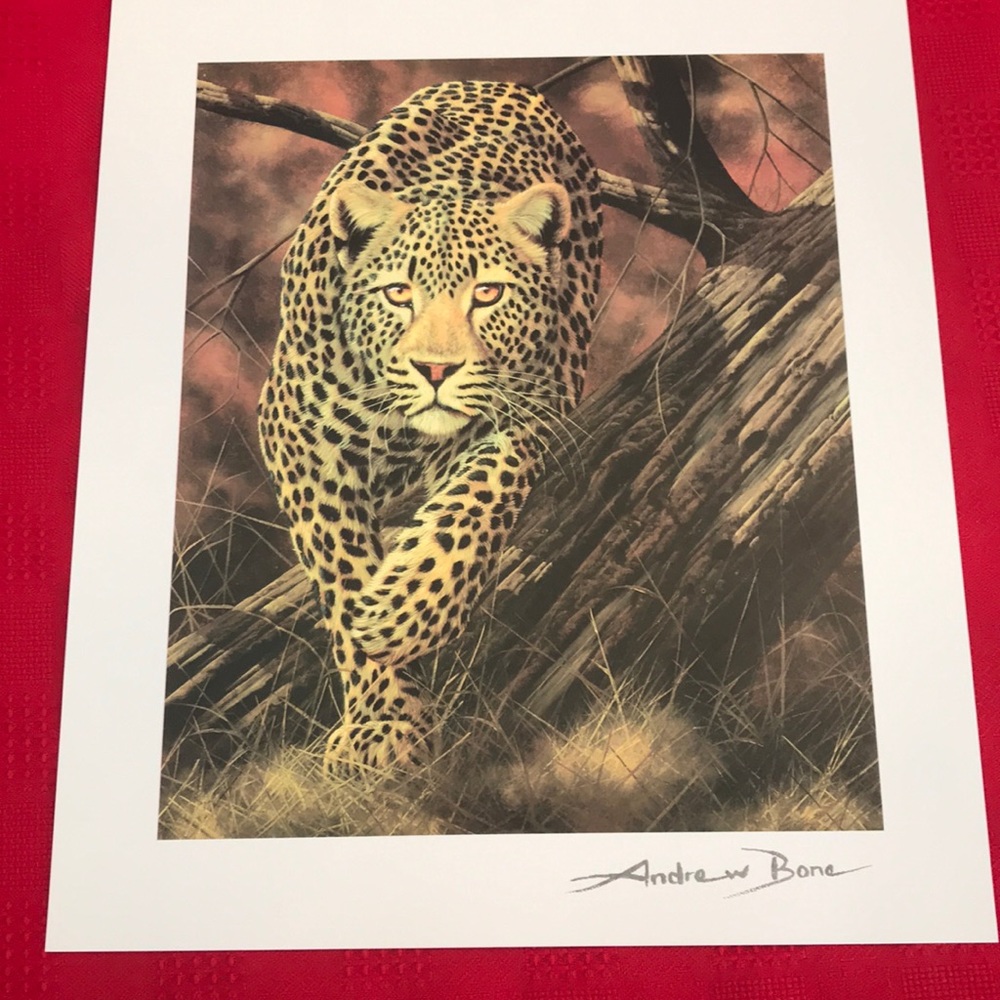 Andrew Bone print